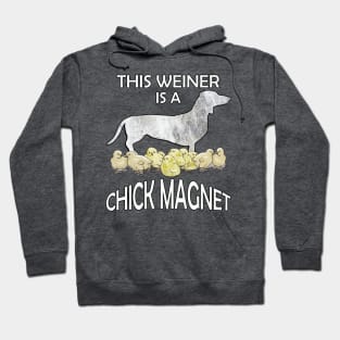 Dachshund Lover Cute Funny Doxie Quote This Weiner Is A Chick Magnet Hoodie